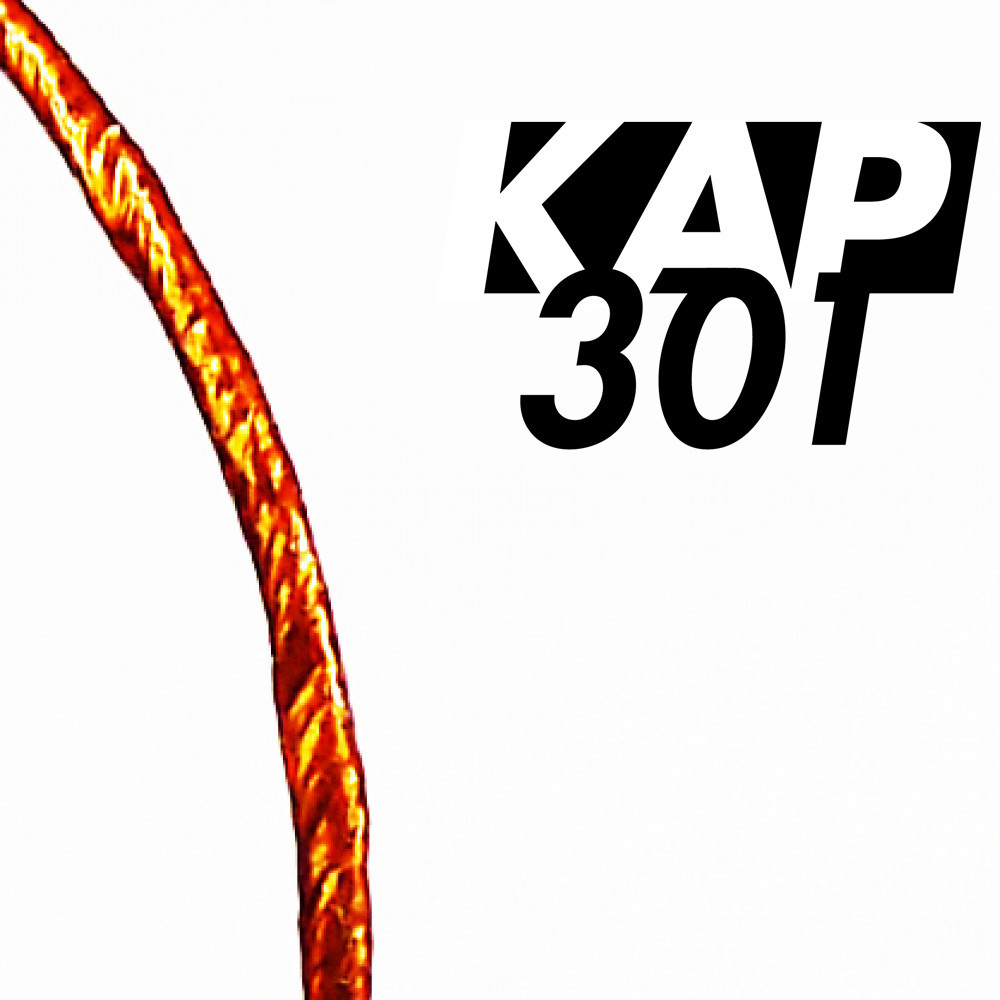 Radiation Resistant Kapton Wires